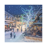 image-20230601101323-20