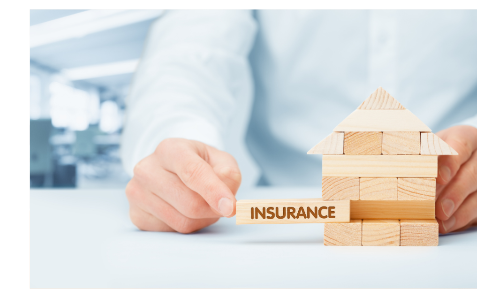 image-20231012045016-1